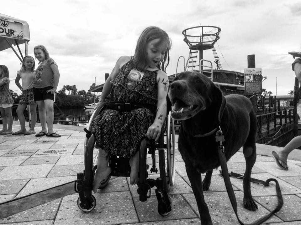 This young girl, who came to Clearwater to meet Winter the Dolphin, was petting Bella for nearly two minutes before she realized that Bella was missing her front leg/Robert Kugler/Facebook