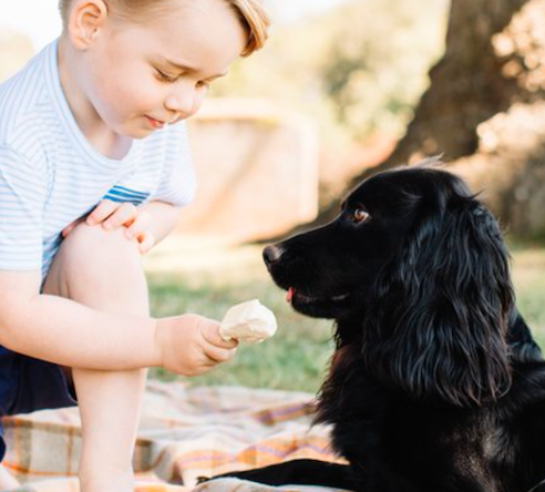 Prince George feeding his dog, Lupo, what appears to be ice cream