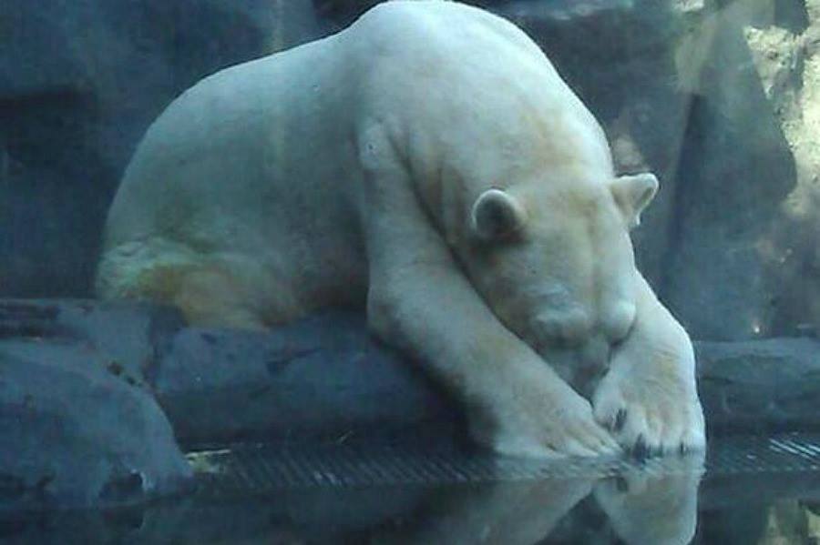Arturo in March, 2105 posted by Free Arturo USA/Canada support/Facebook