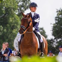 13680979_1430113057002609_917116042866998080_n