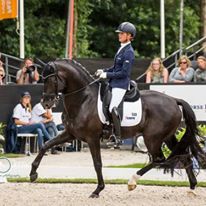 13886430_1428695187144396_8990181146270047750_n