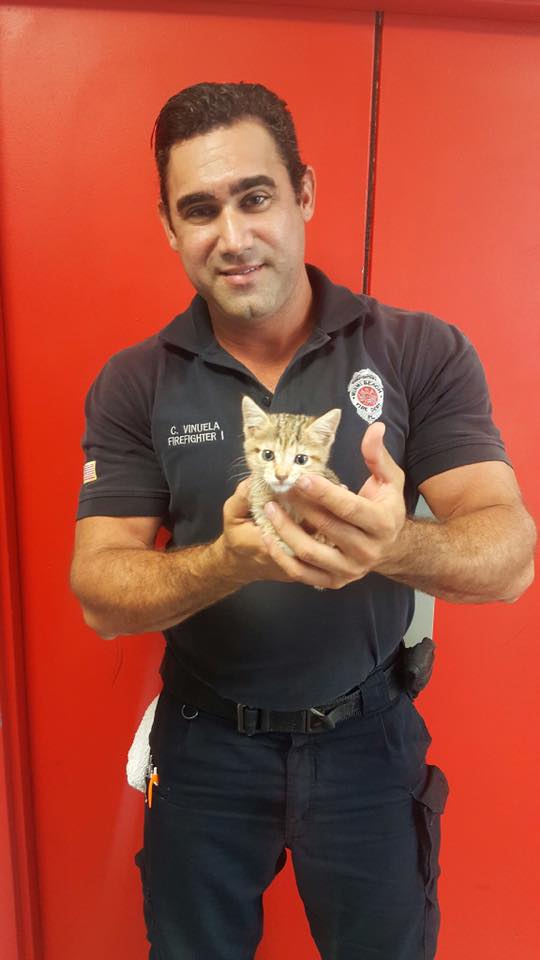 MiamiBeachkittenrescue
