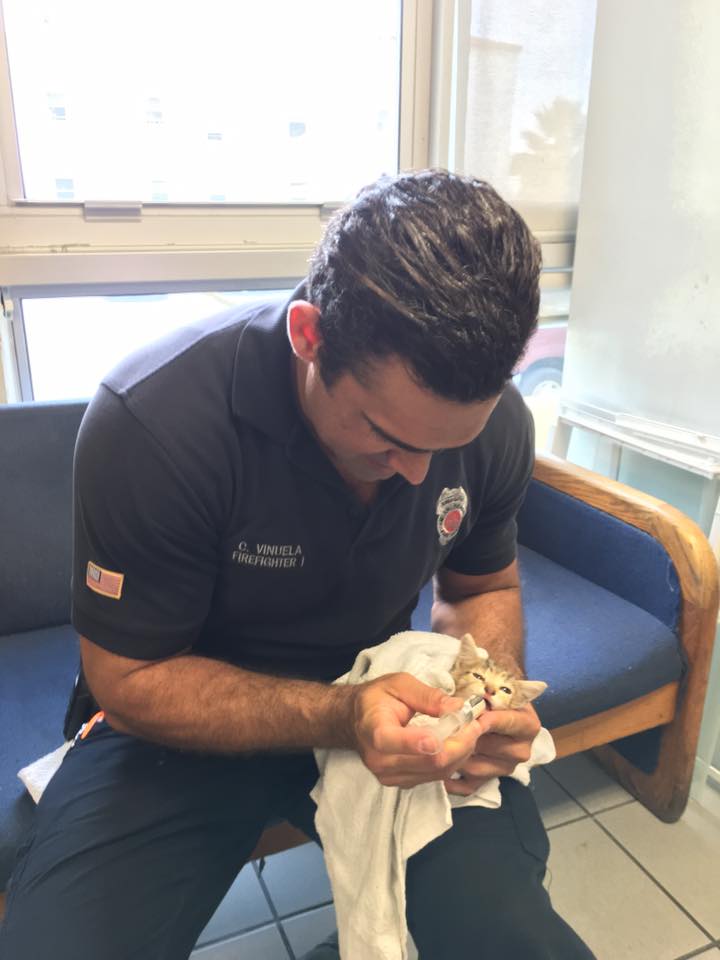 MiamiBeachkittenrescued