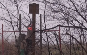 Screen Shot 2016-08-21 at 10.10.00 PM