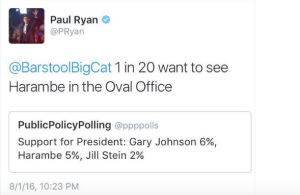 Screen Shot 2016-08-23 at 12.19.12 PM