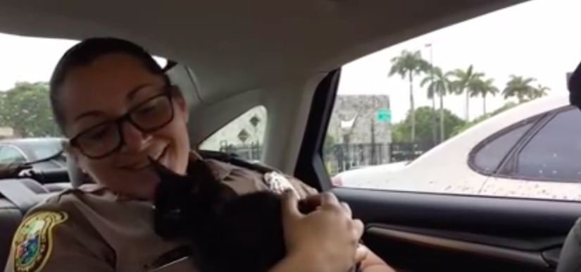 catpoliceMiamiDade