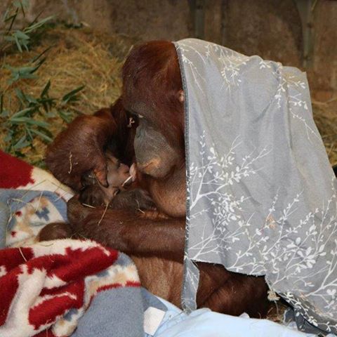 14368897_10154489845847902_4567004173915385976_n