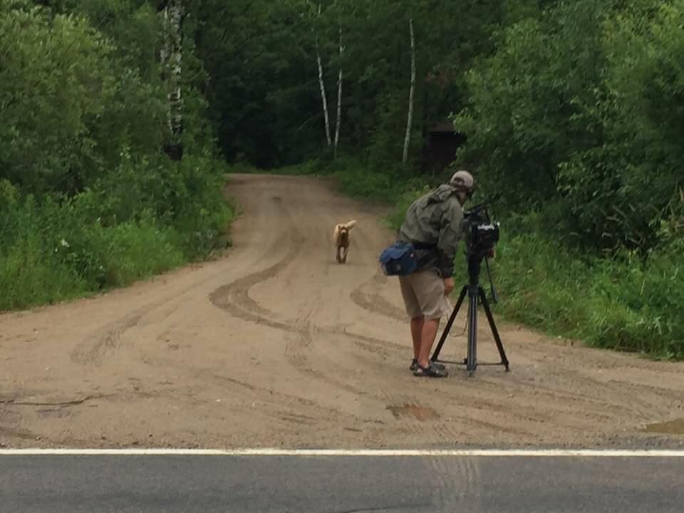 Bruno's journey being documents by KARE 11. Bruno of Longville, Minnesota/Facebook