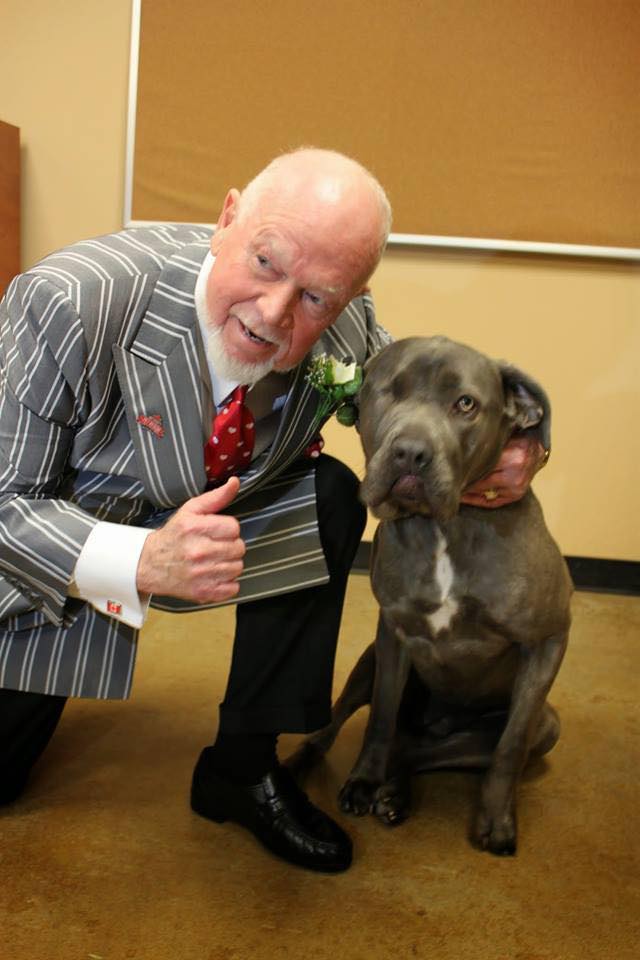 Don Cherry with a rescue dog. Don Cherry's Pet Rescue Foundation/Facebook