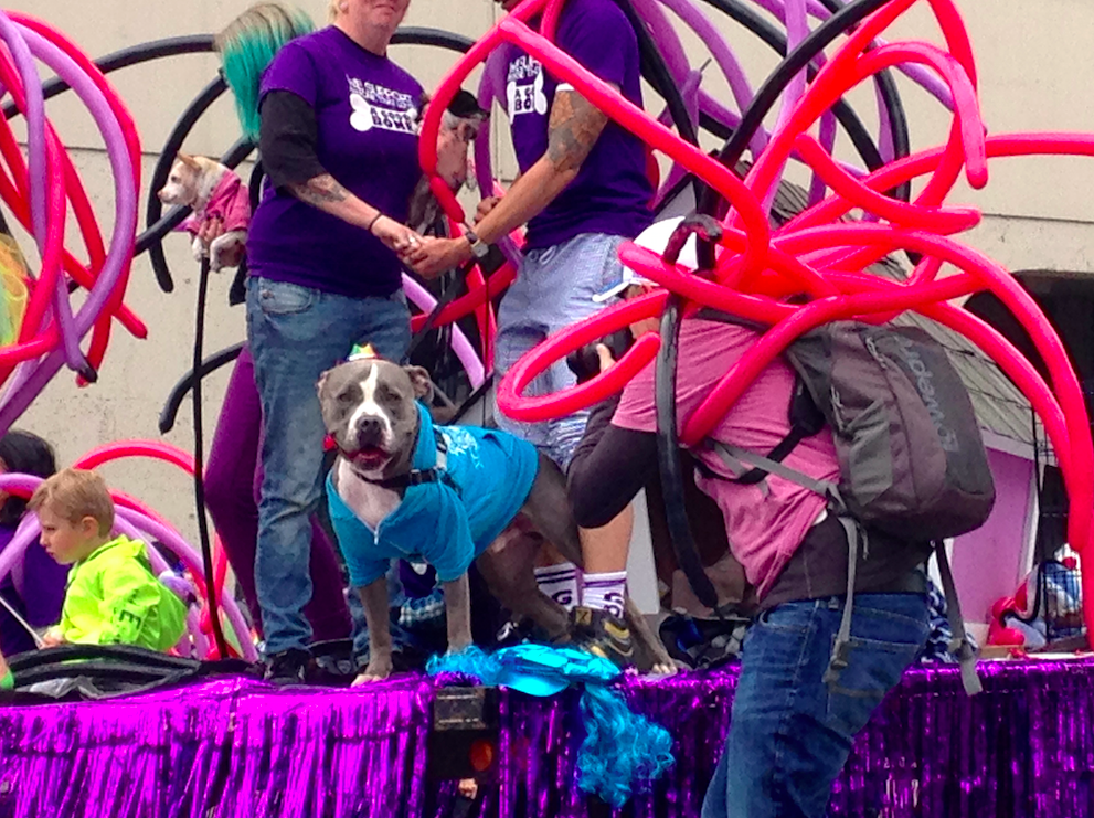 dogprideparade