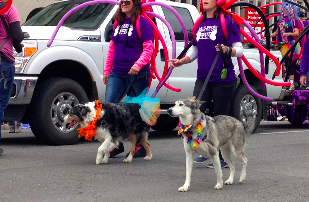 pridedogsparade