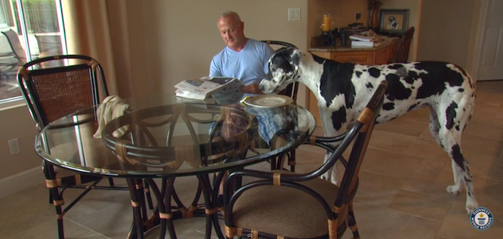 Bow wow! Lizzy is one huge pooch.