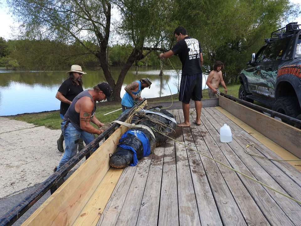 gatortrinityrivernationalwildlife