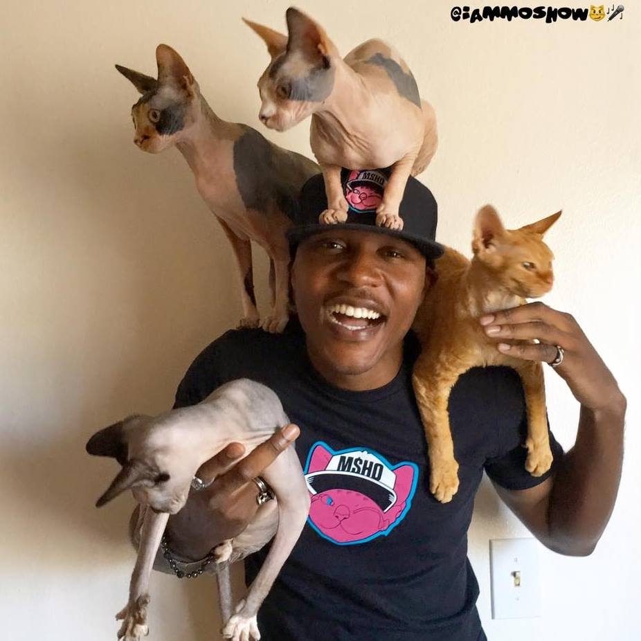 iammoshowcatguy