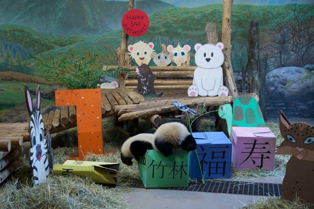 torontopandasoneyrold