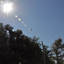 Animal lovers posted this photo of the annual event. STOPTHETurkeyTrot/Facebook