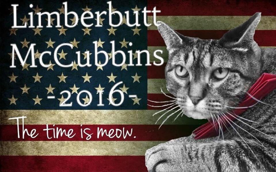 limberbutt2016