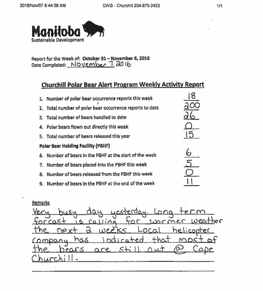 polarbearnov2016report