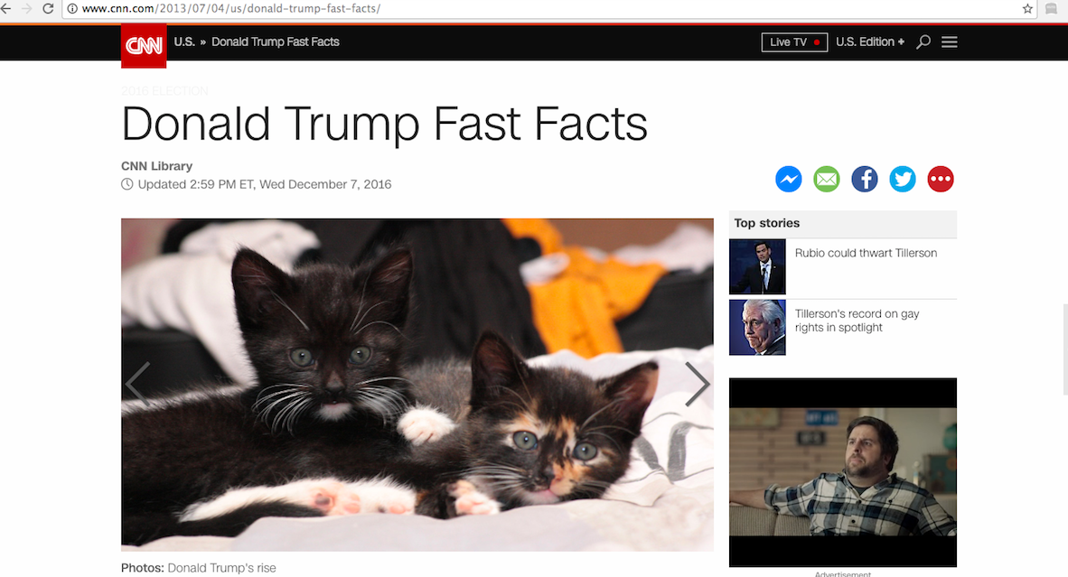 makeamericakittebsagainchrome